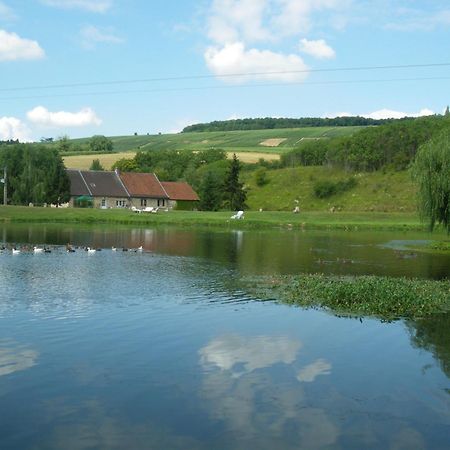 Domaine Du Moulin De L'Etang Bed & Breakfast Chatillon-sur-Marne ภายนอก รูปภาพ