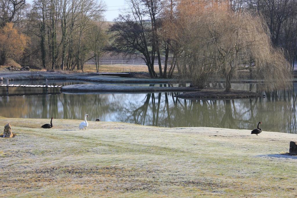 Domaine Du Moulin De L'Etang Bed & Breakfast Chatillon-sur-Marne ภายนอก รูปภาพ