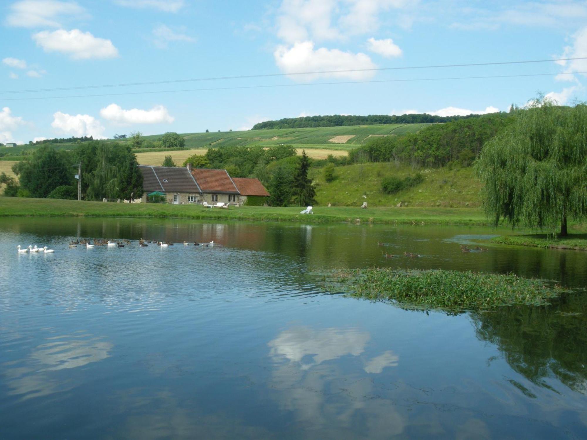 Domaine Du Moulin De L'Etang Bed & Breakfast Chatillon-sur-Marne ภายนอก รูปภาพ