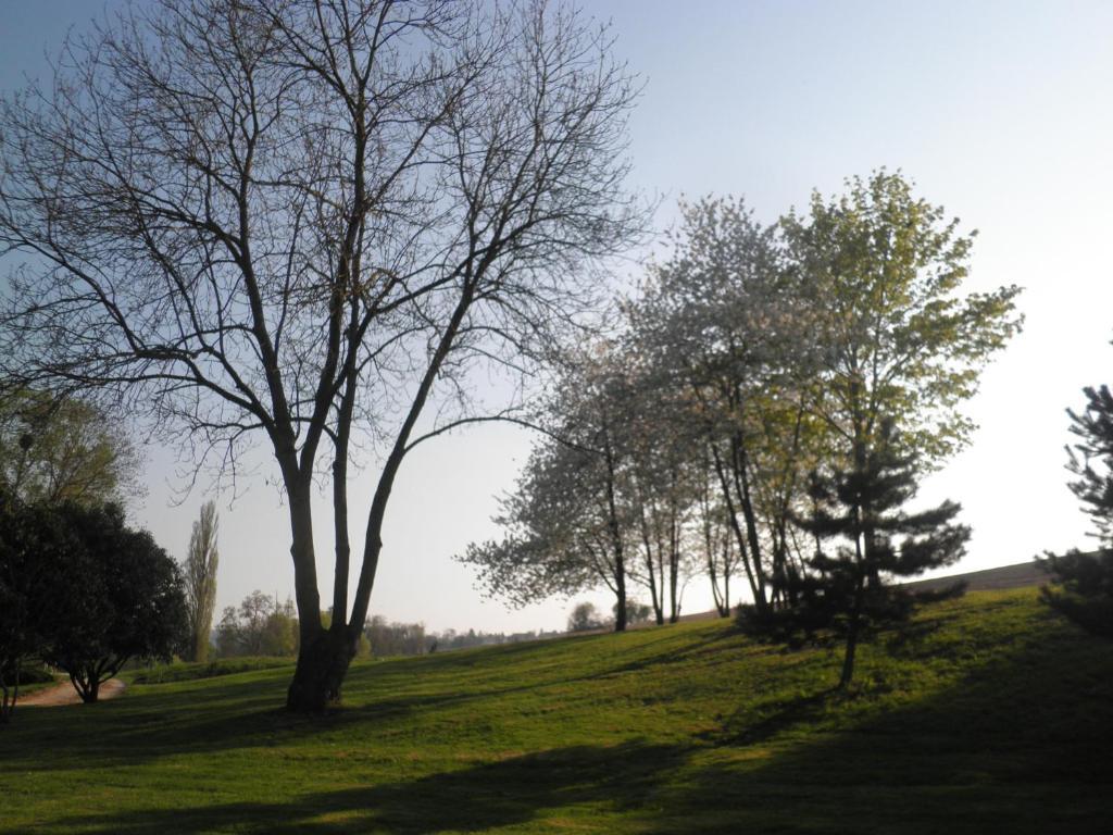 Domaine Du Moulin De L'Etang Bed & Breakfast Chatillon-sur-Marne ห้อง รูปภาพ