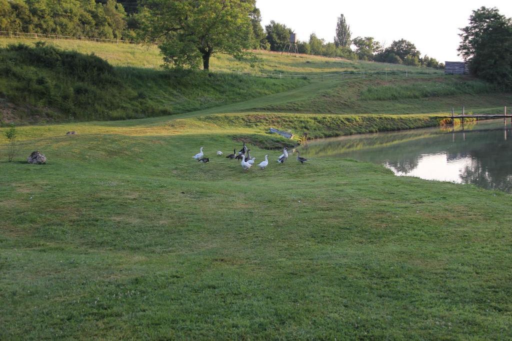 Domaine Du Moulin De L'Etang Bed & Breakfast Chatillon-sur-Marne ภายนอก รูปภาพ