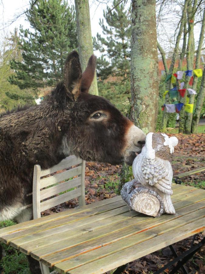 Domaine Du Moulin De L'Etang Bed & Breakfast Chatillon-sur-Marne ภายนอก รูปภาพ