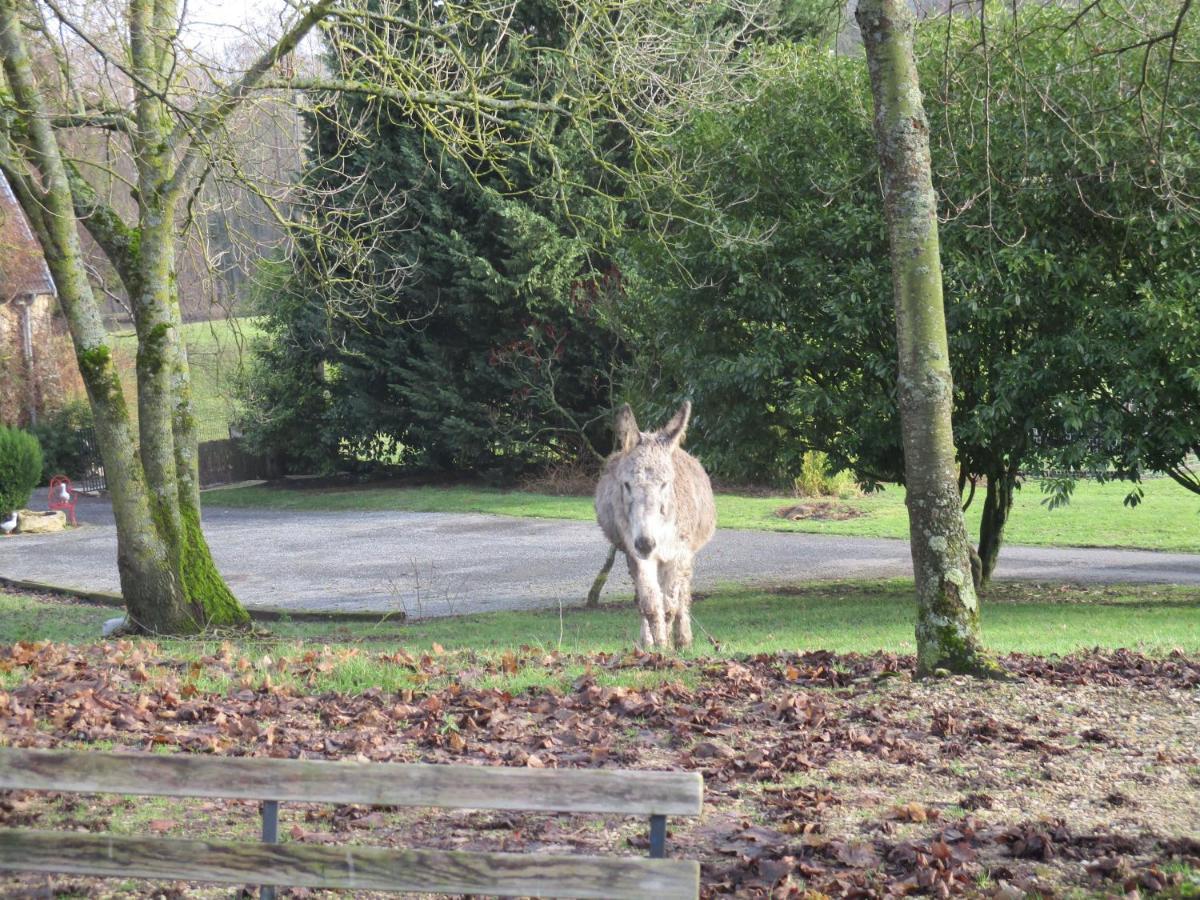 Domaine Du Moulin De L'Etang Bed & Breakfast Chatillon-sur-Marne ภายนอก รูปภาพ